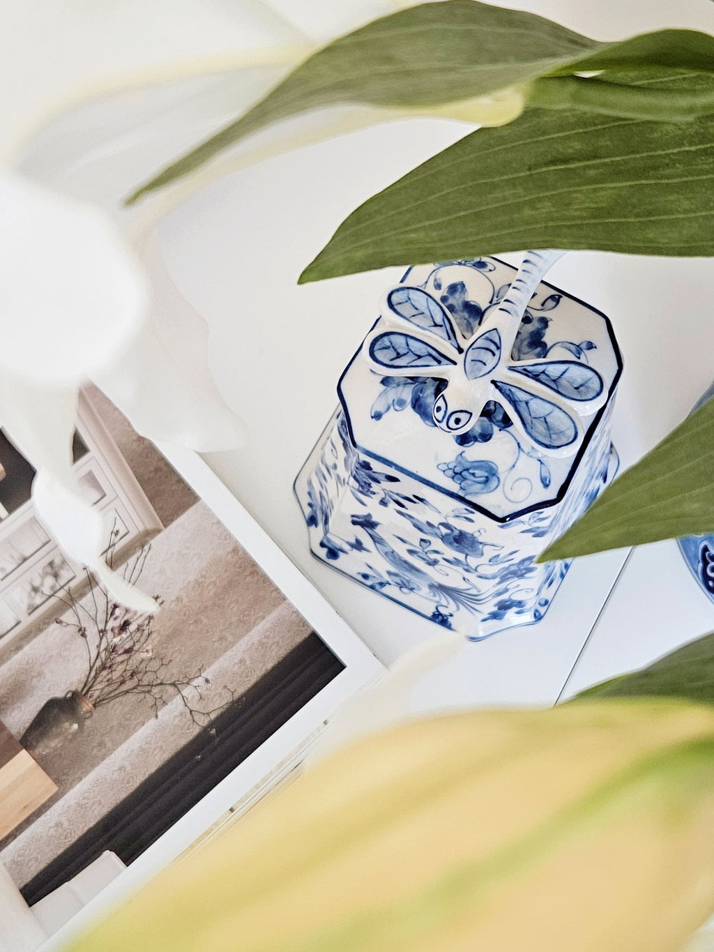 A blue and white patterned hexagonal ceramic canister with a dragonfly lid, styled on a white surface with green leaves and a magazine in the foreground.